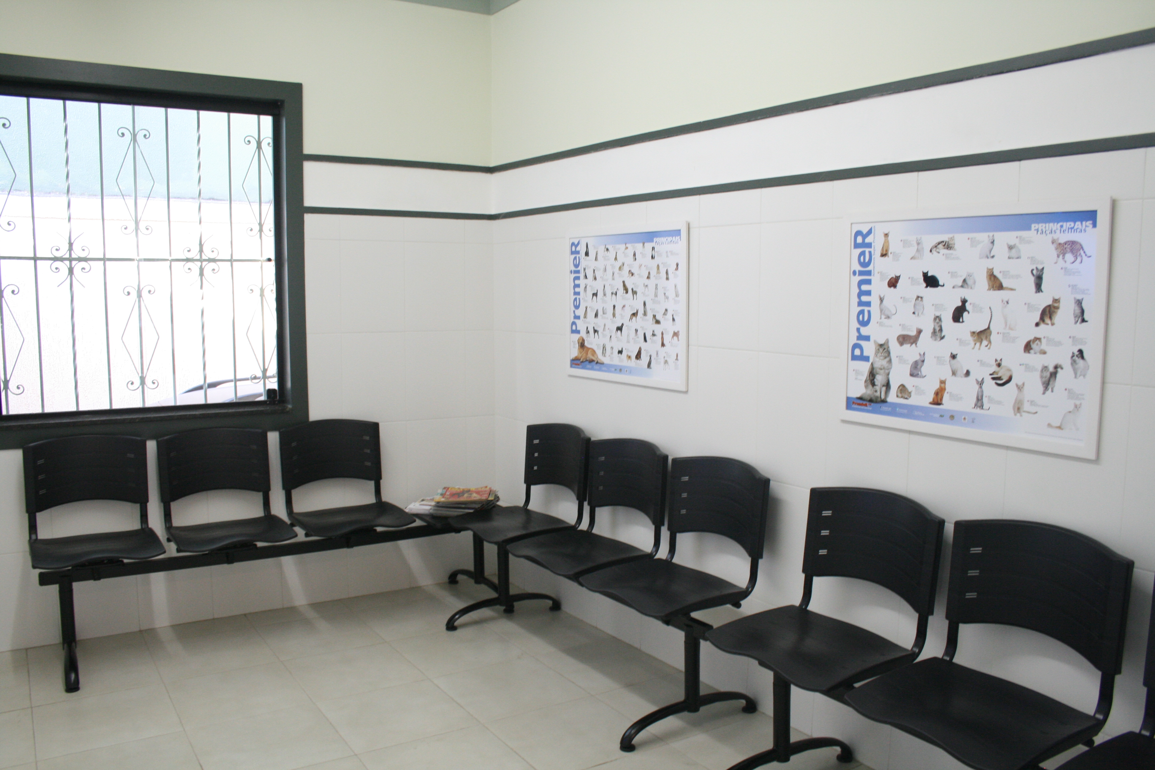 sala de espera com quadros de raças de cães e gatos nas paredes