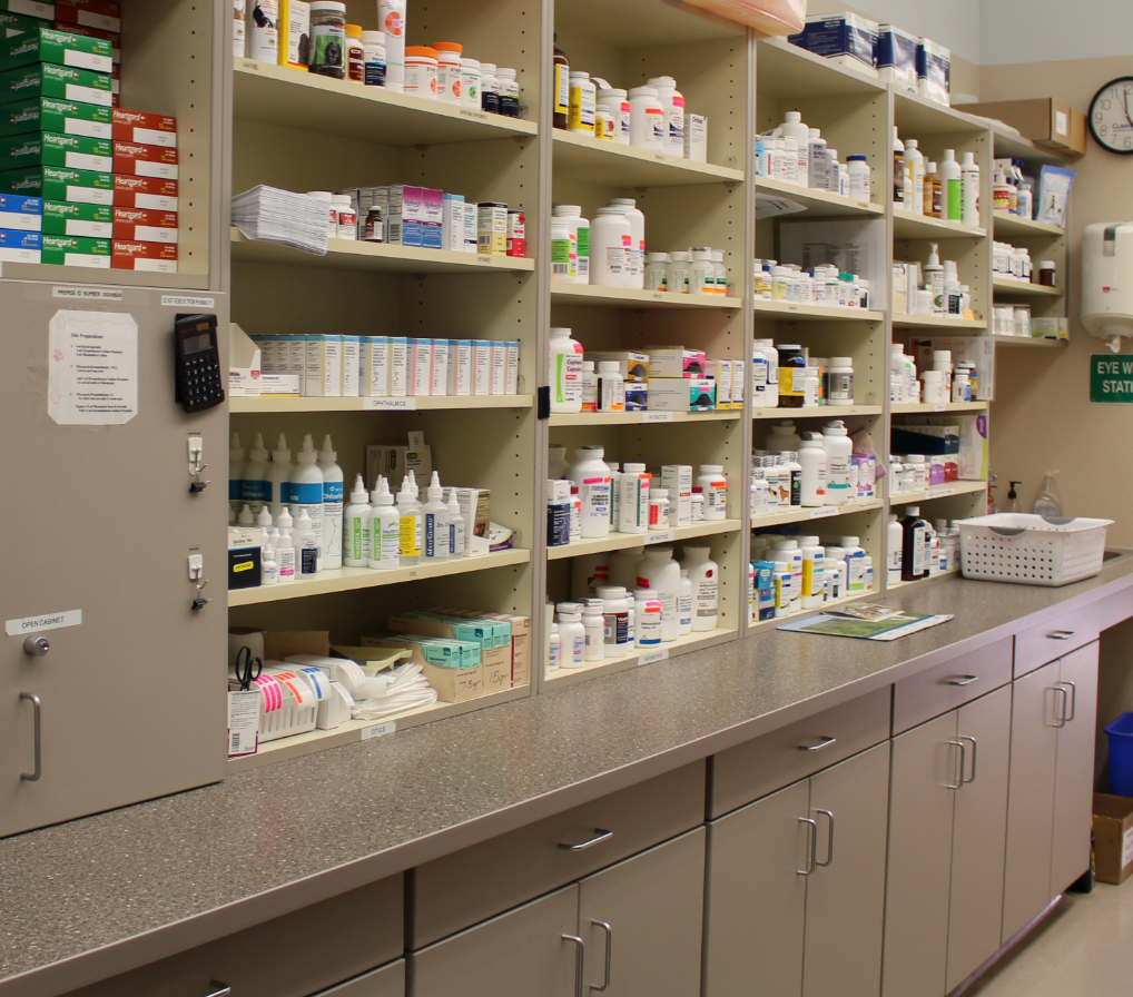 imagem de uma farmácia veterinária com medicamentos para animais